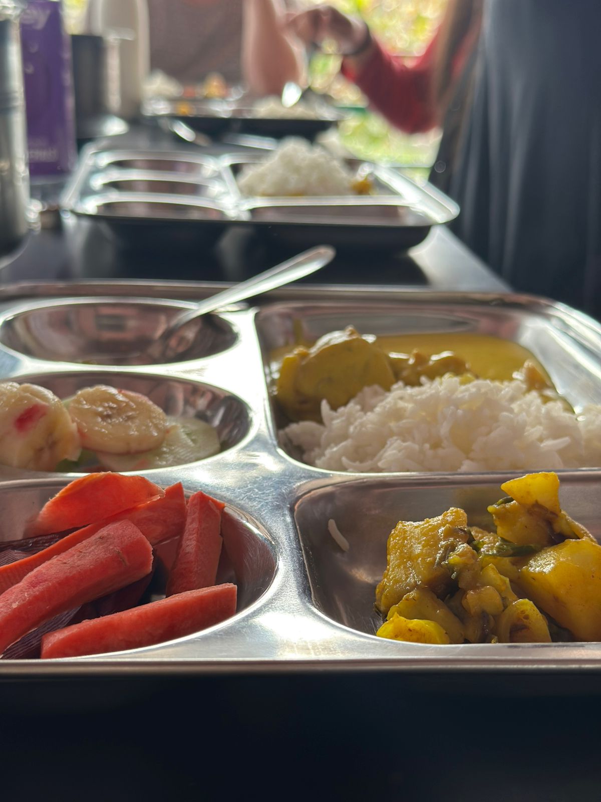 The Healing Plate